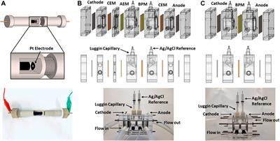 Measurement of ion transport properties in ion exchange membranes for photoelectrochemical water splitting